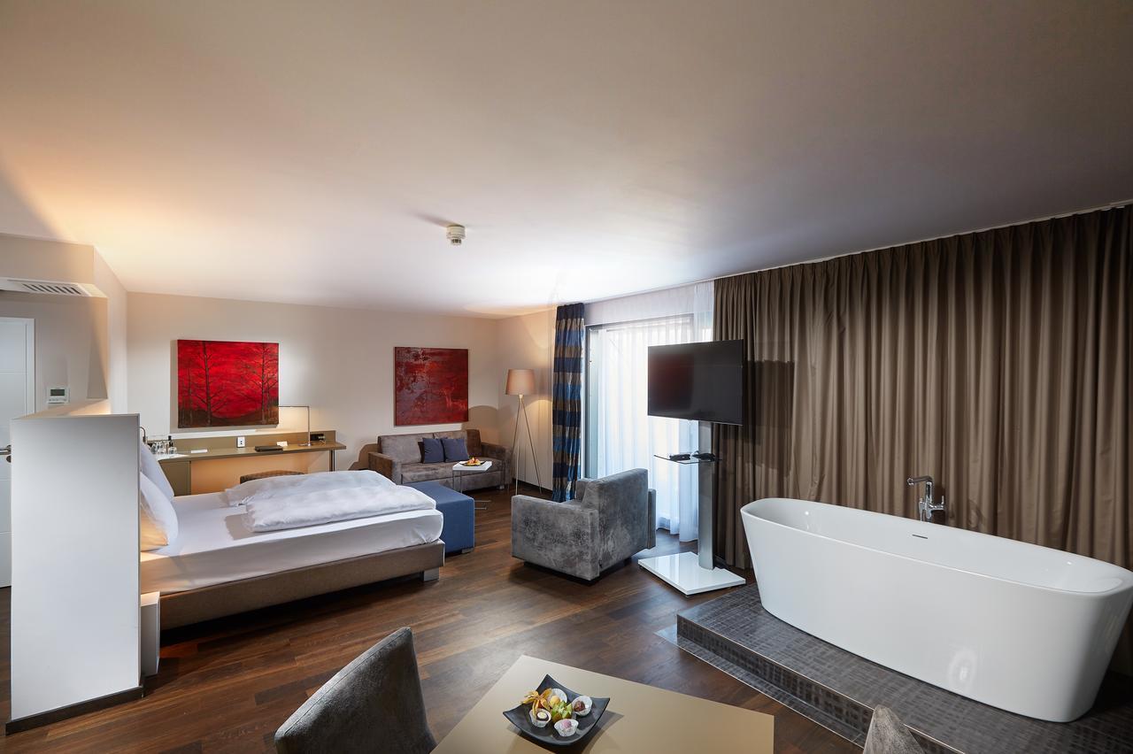 Schloss Reinach 4*